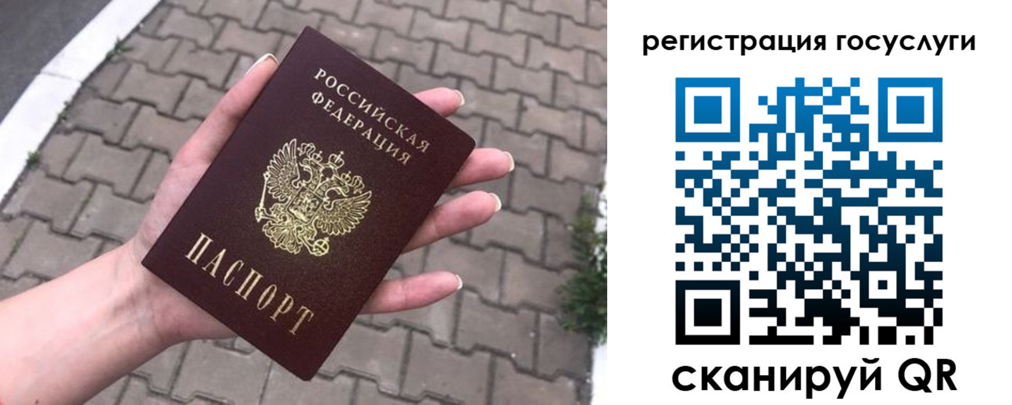 прописка 2025 в Жуковском